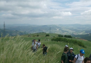  VERDE PATHS 